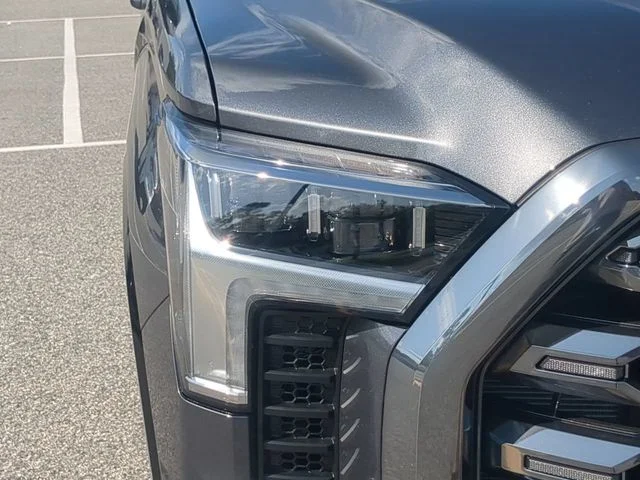 New 2026 Magnetic Gray Metallic Toyota Platinum image 10