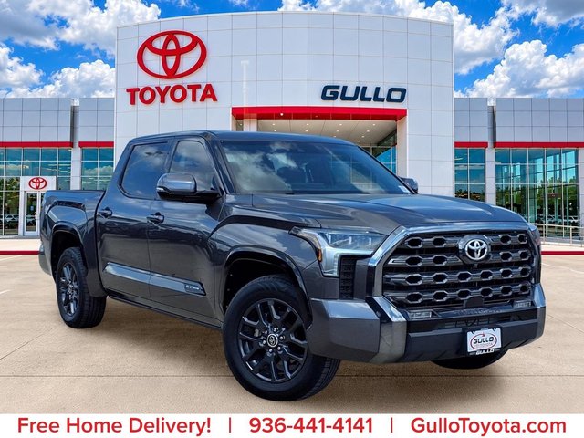 2022 Toyota Tundra Platinum
