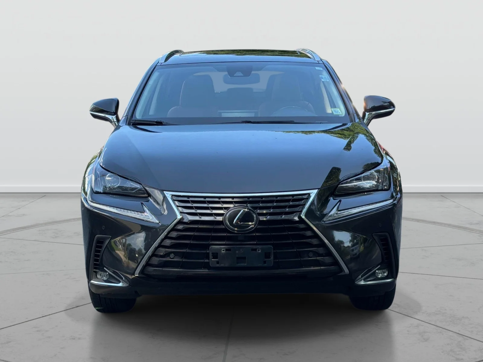 Used 2020 Black Lexus 300 Base image 2