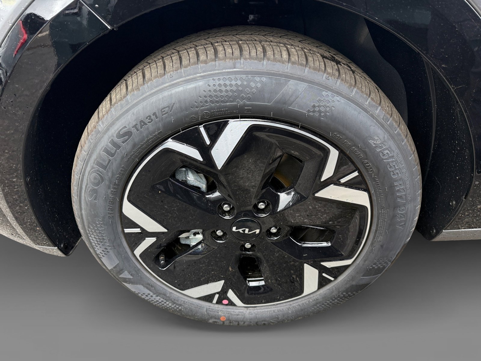 New 2026 Steel Gray Kia Wave image 9