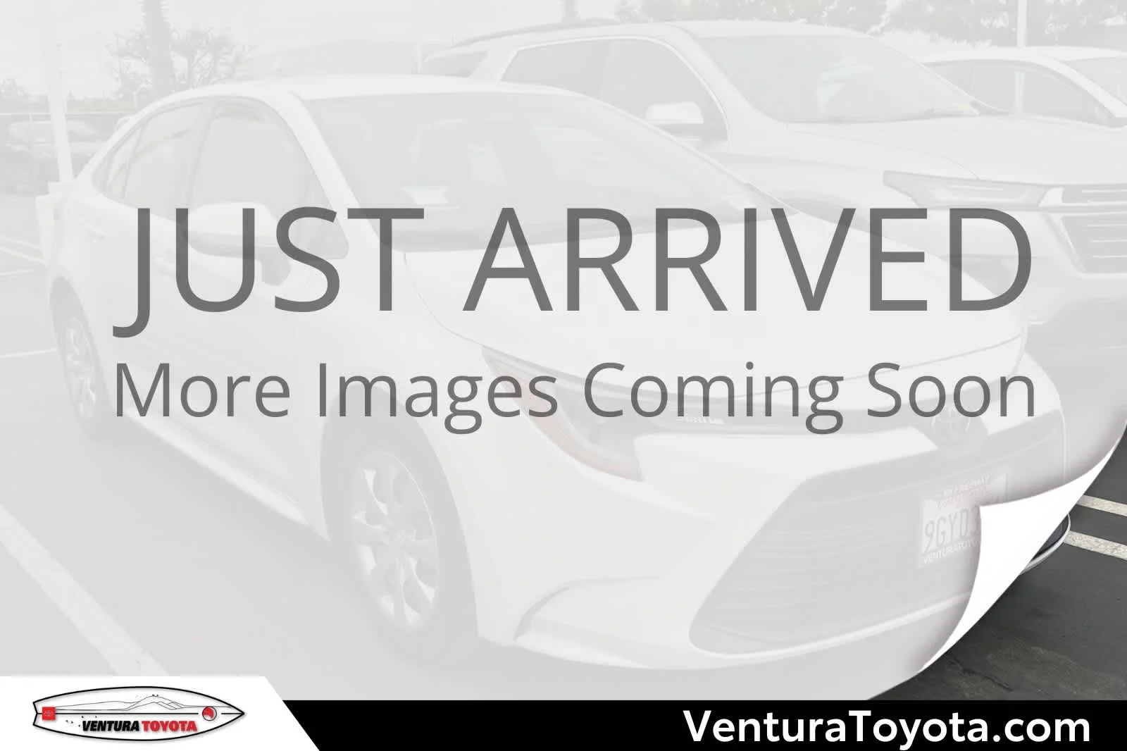 2023 Toyota Corolla LE CVT's photo