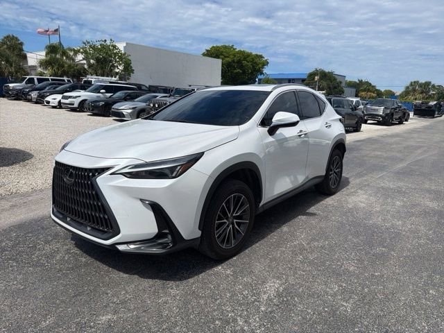 2024 Lexus NX 350h 350h AWD's photo