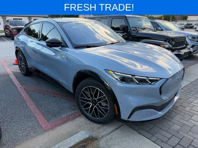 Used 2024 Gray Metallic Ford Premium image 1