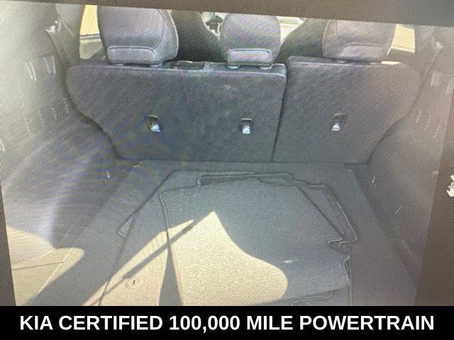 Used 2024  Kia Light image 6