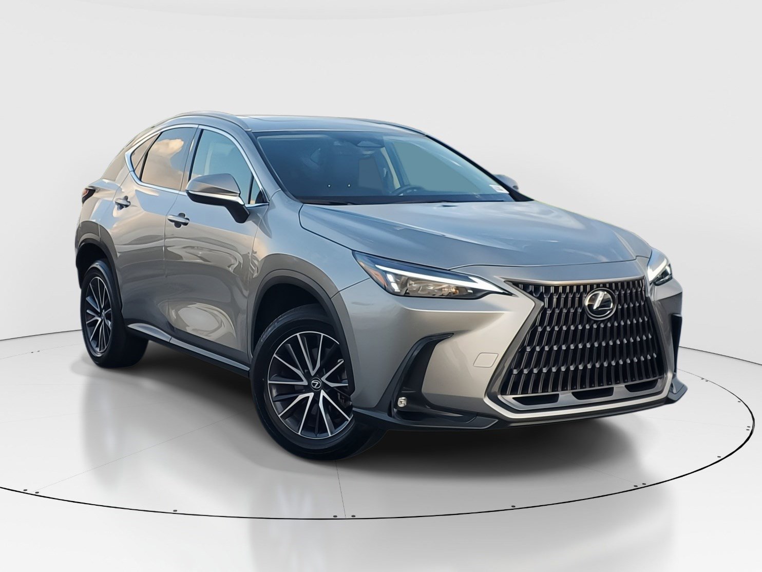 2024 Lexus NX