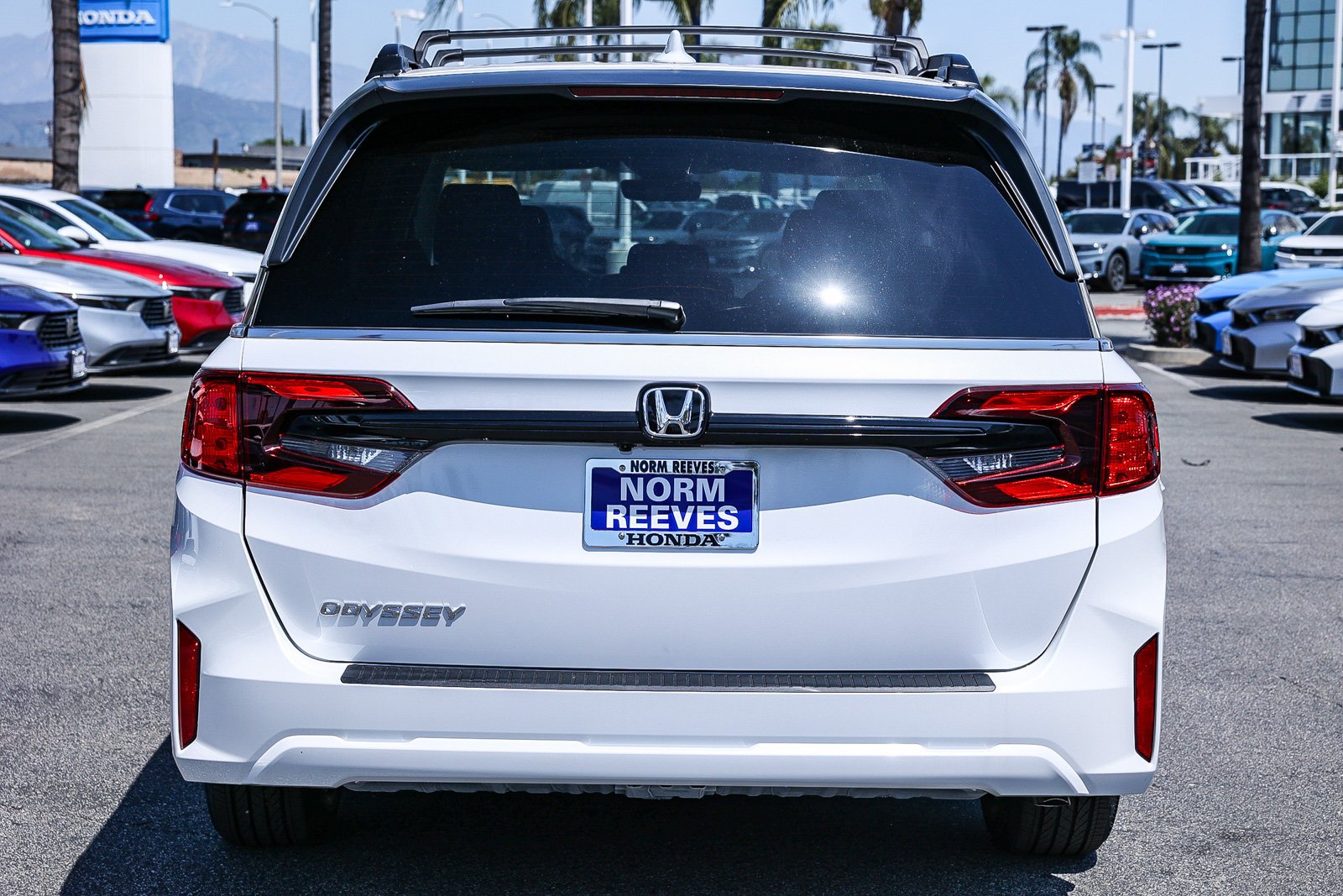 New 2026 Platinum White Pearl Honda EX-L Auto image 5