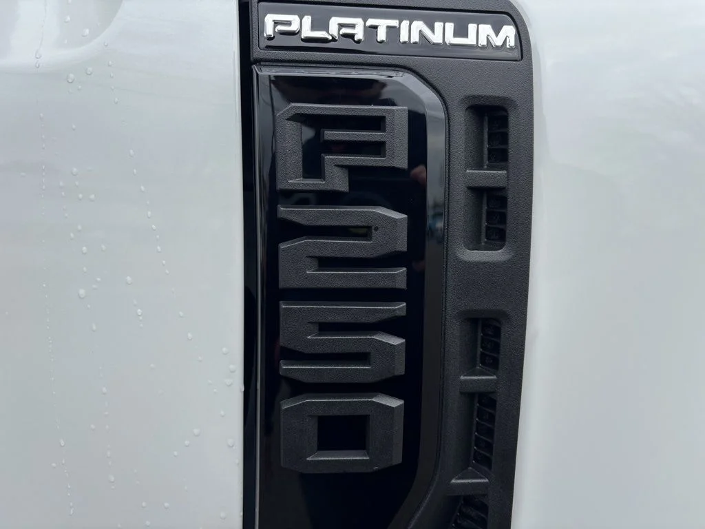 New 2026 White Ford Platinum image 14