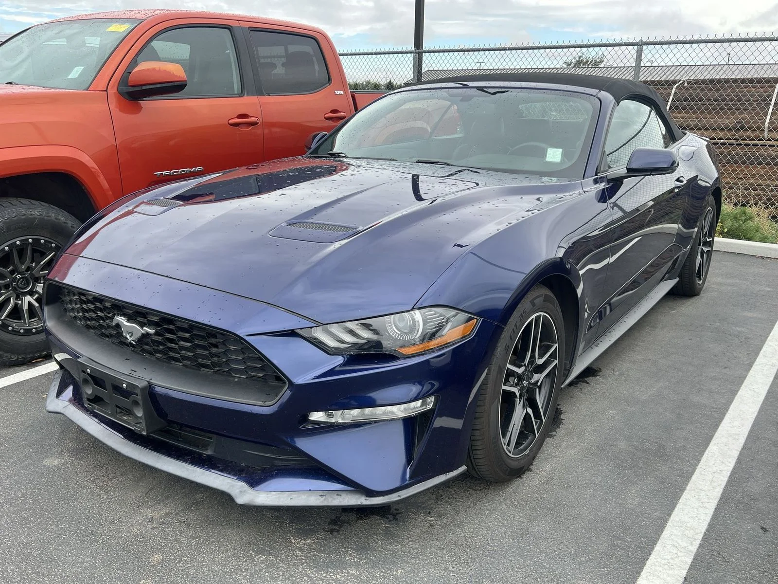 Used 2019 Blue Ford EcoBoost Premium image 2