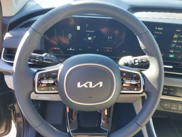 New 2026 Panthera Metal Kia SX Prestige image 17