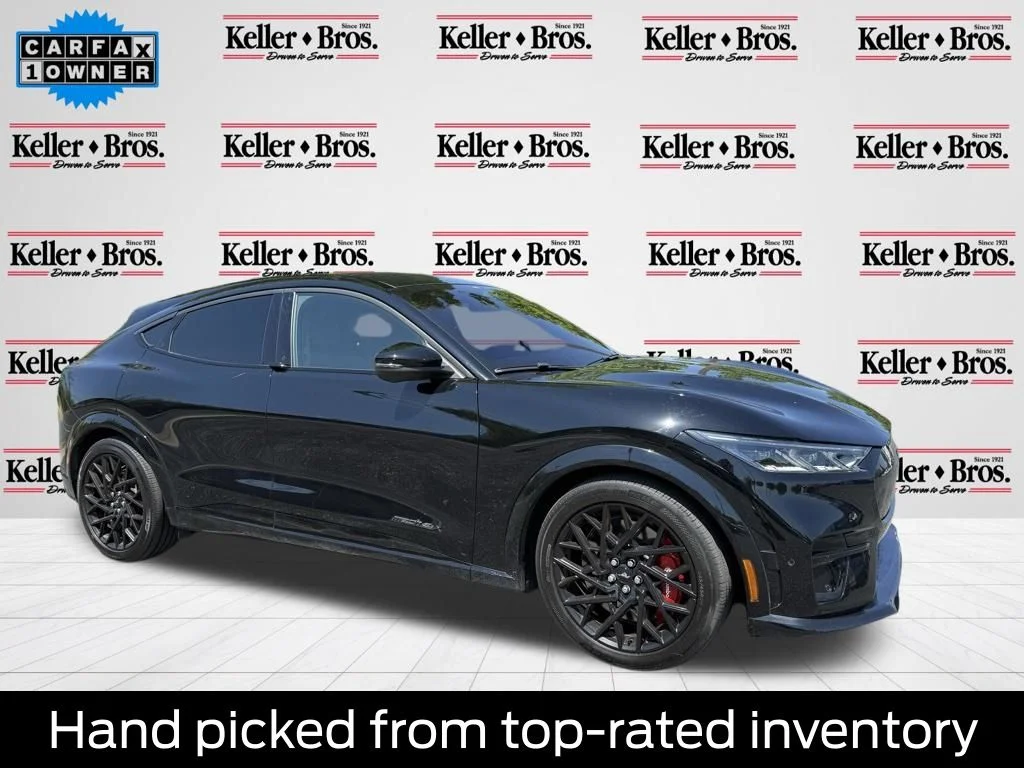 2023 Ford Mustang-Mach-e GT's photo