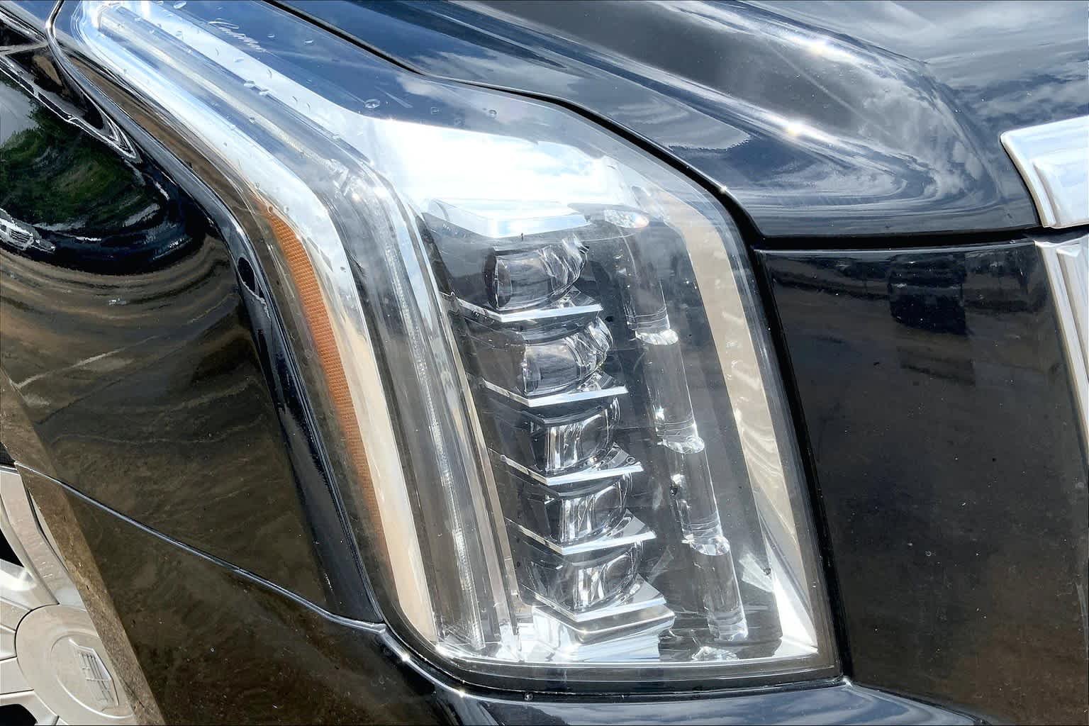 Used 2019 BLACK RAVEN Cadillac Luxury image 28