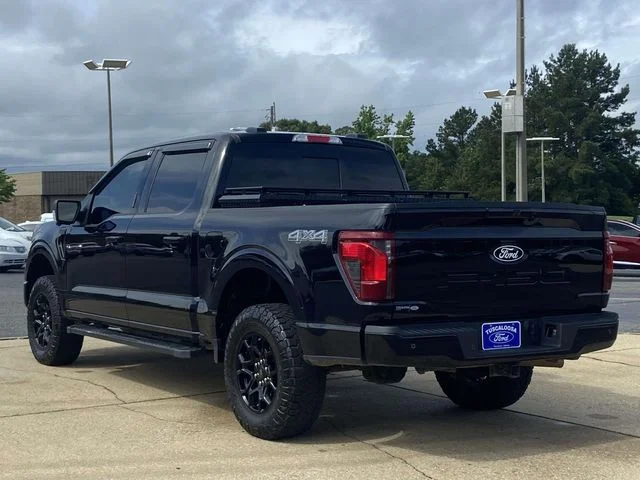 Used 2024 Black Ford XLT image 4