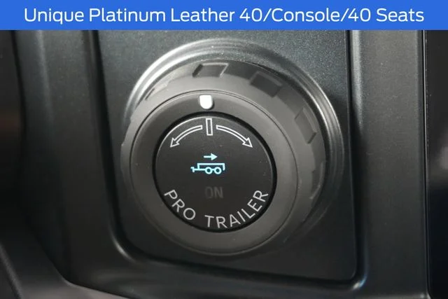 New 2025 Gray Ford Platinum image 22