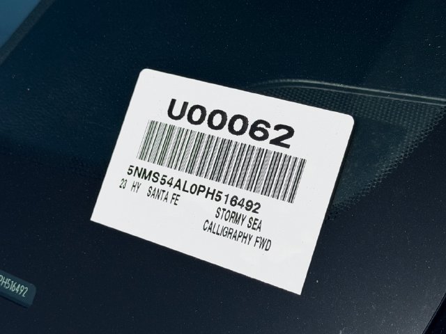 Used 2023 Blue Hyundai Calligraphy image 13