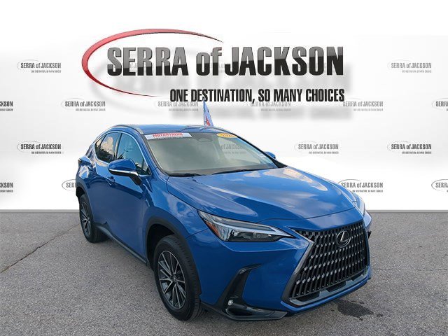 Used 2025 Grecian Water Lexus NX 250 image 2