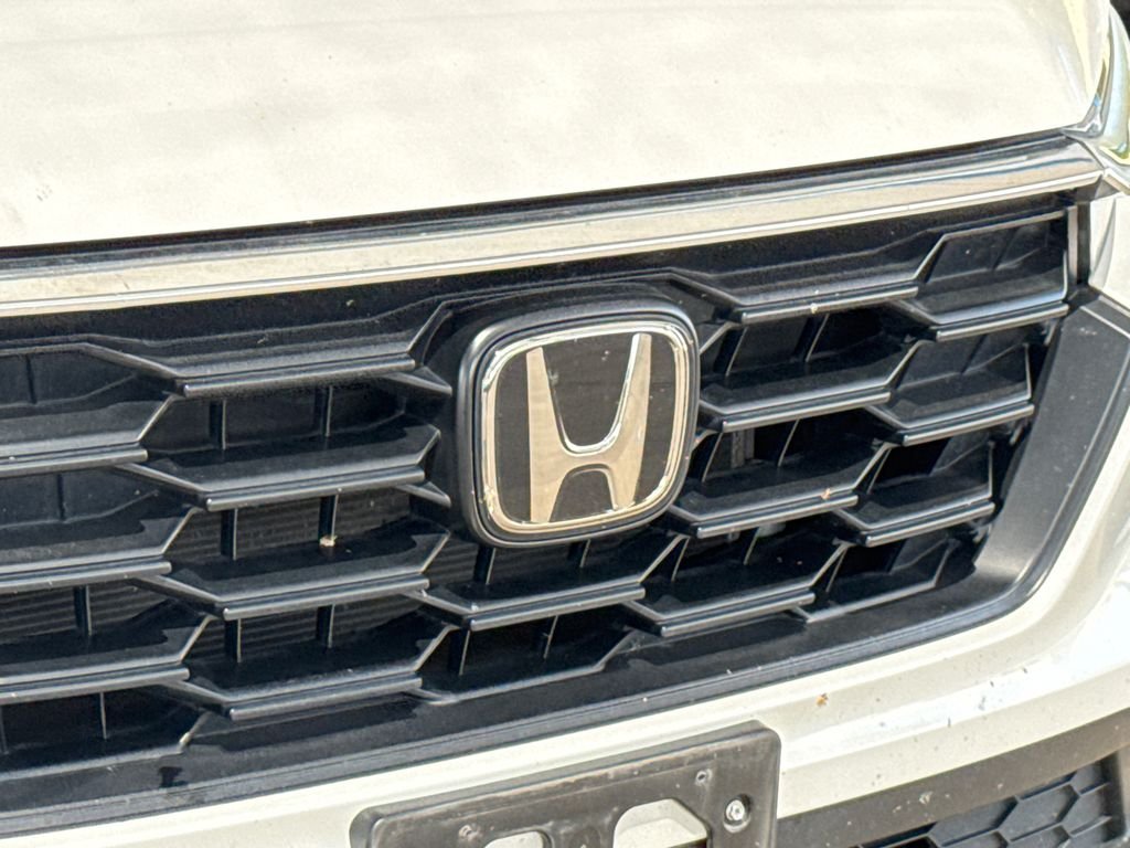 Used 2025 Platinum White Pearl Honda LX image 5