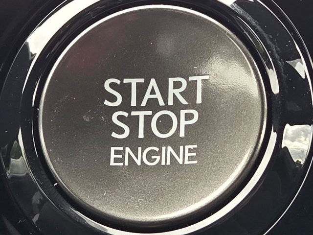 New 2026 Caviar Lexus PREMIUM image 45