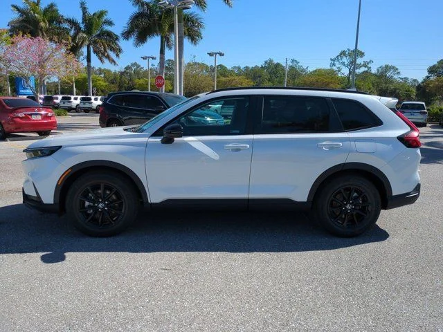 New 2026 Platinum White Pearl Honda Sport image 6