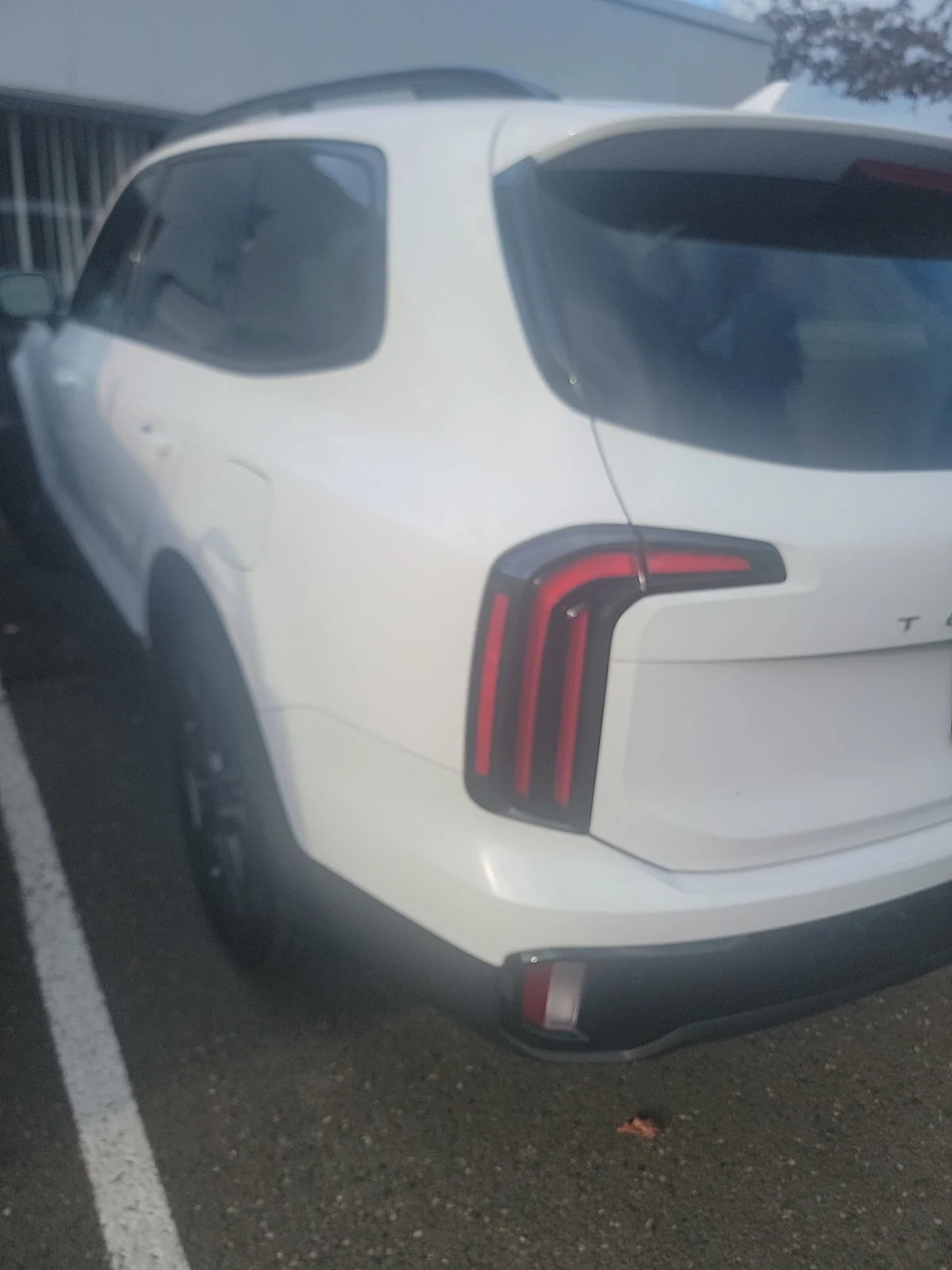 Used 2024 White Pearl Kia SX X-Line image 3