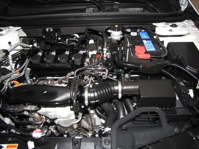 Certified Used 2025 Platinum White Pearl Honda SE image 22