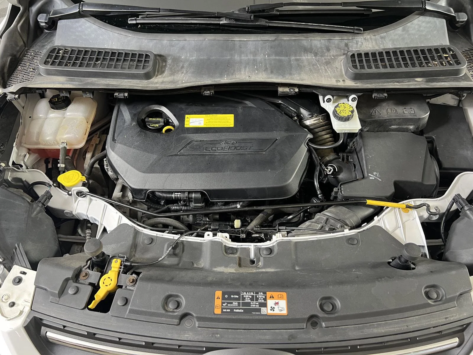 Used 2016 Wh Ford SE image 22