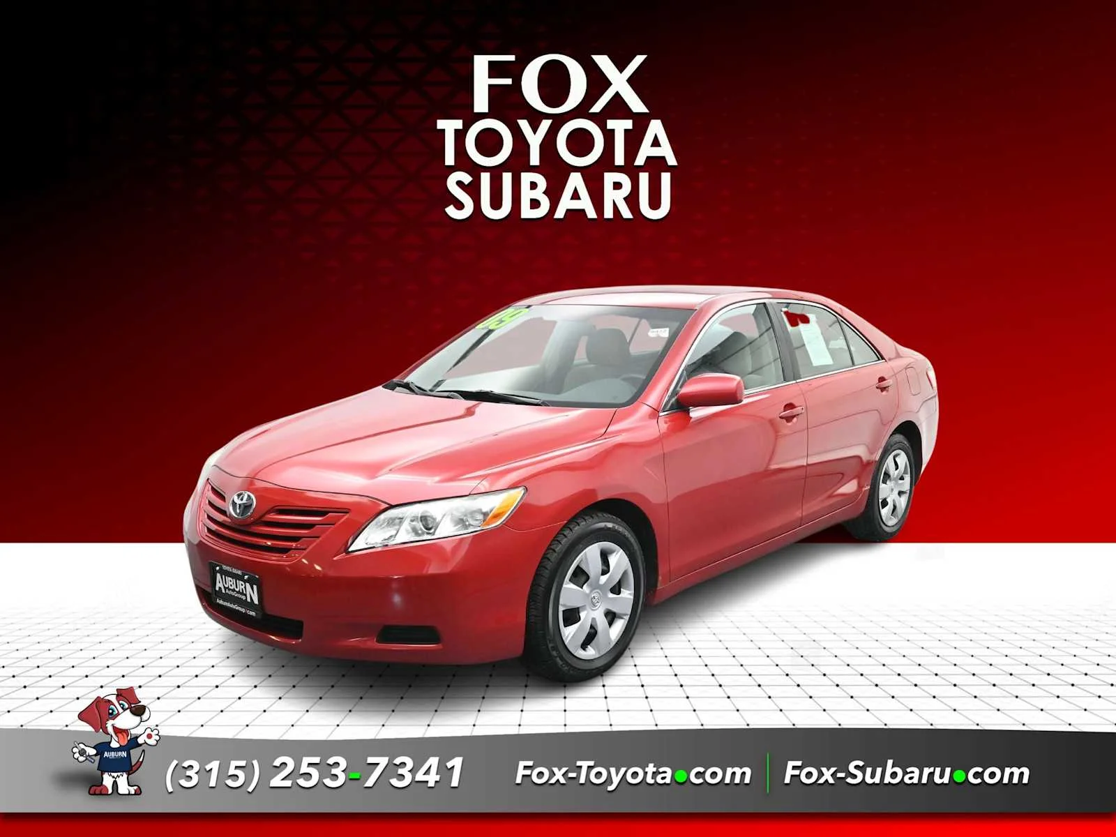 2009 Toyota Camry LE