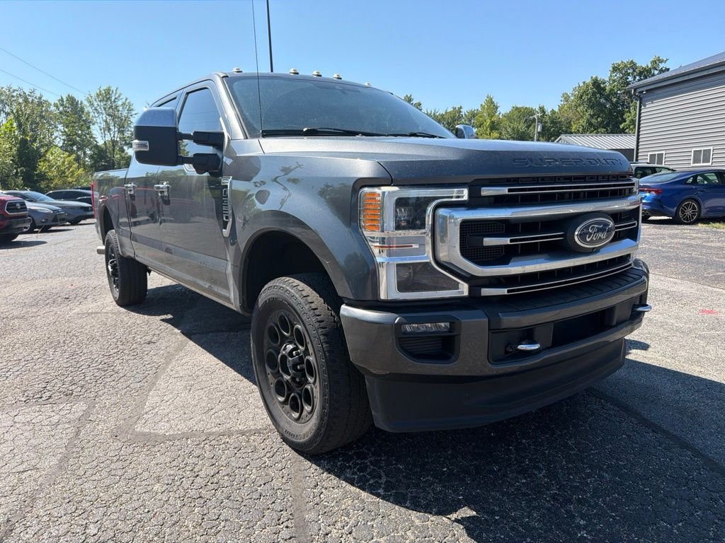 Used 2020 Magnetic Ford Platinum image 9