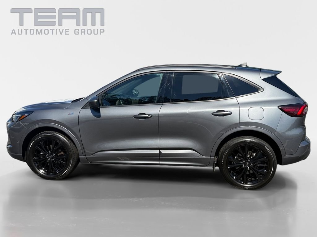 Used 2024 Gray Ford ST-Line Elite image 4