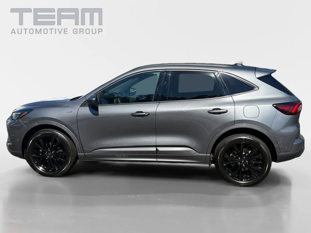 Used 2024 Gray Ford ST-Line Elite image 4