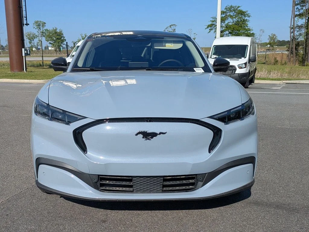 New 2026 Gray Ford Premium image 9