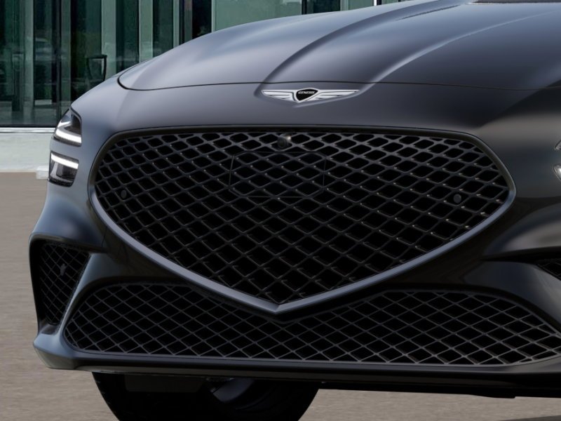 New 2027 Vik Black Genesis Standard image 13