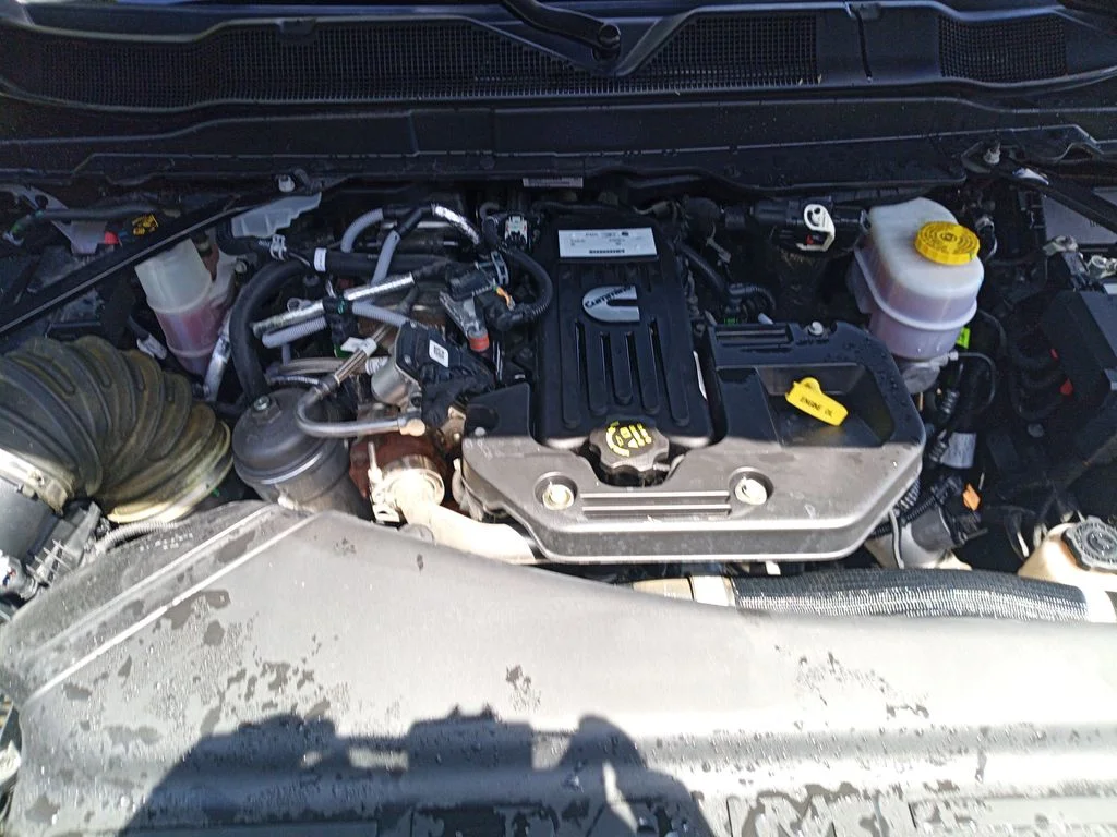 Used 2025 Black Ram Tradesman image 25