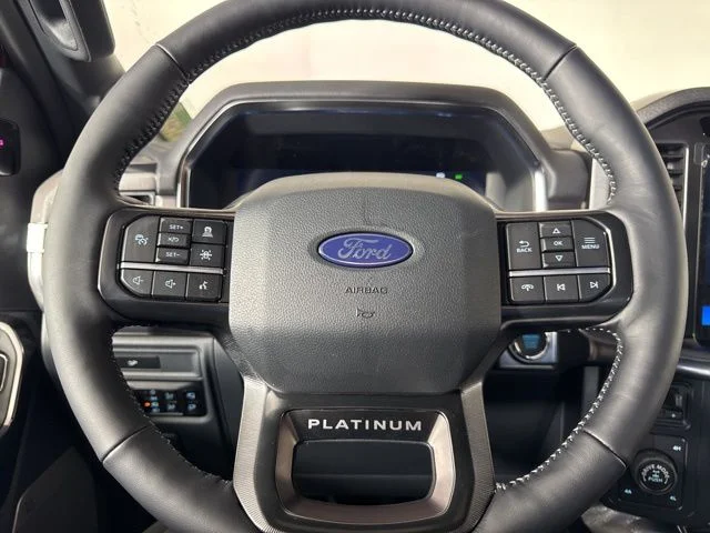 New 2026 Ruby Red Metallic Tinted Clearcoat Ford Platinum image 19