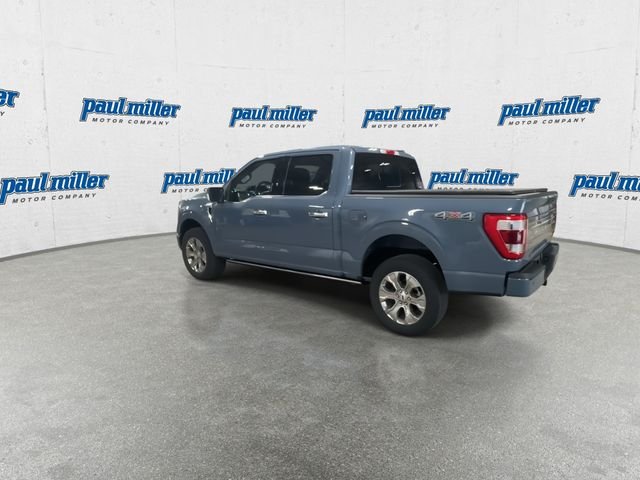 Certified Used 2023 Gray Ford Platinum image 8