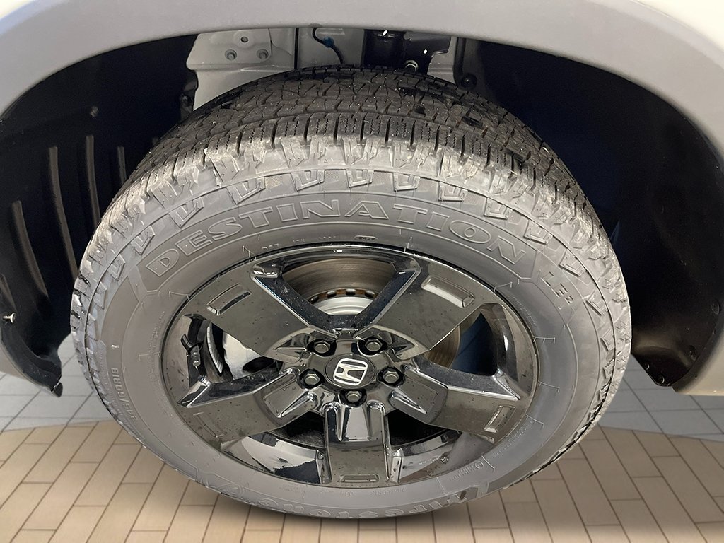 New 2026 Platinum White Pearl Honda Black Edition image 10