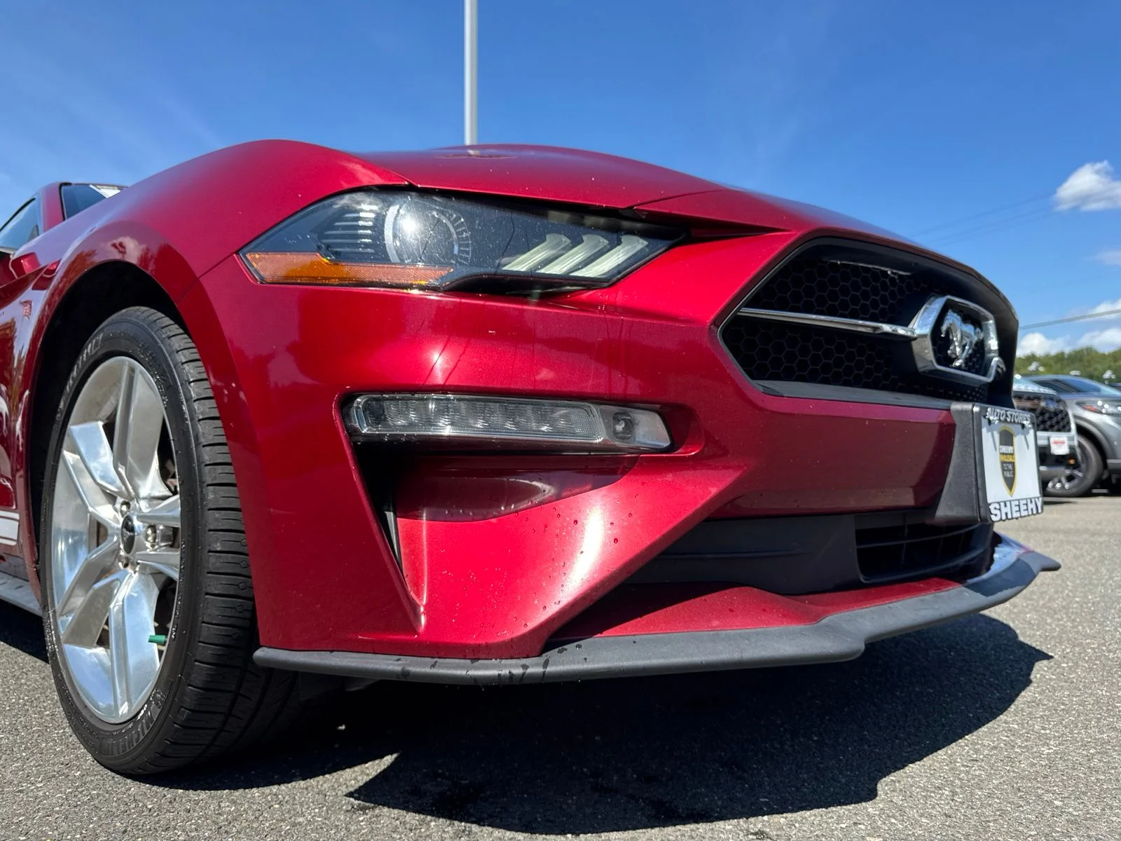 Used 2018 Red Ford EcoBoost Premium image 6