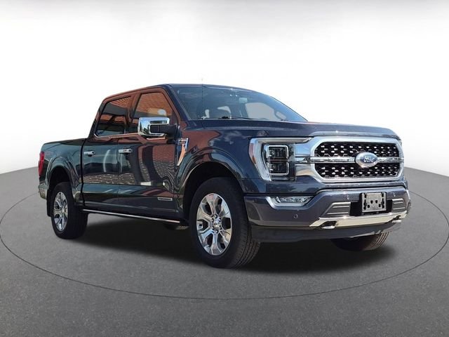 Used 2021  Ford Platinum image 1