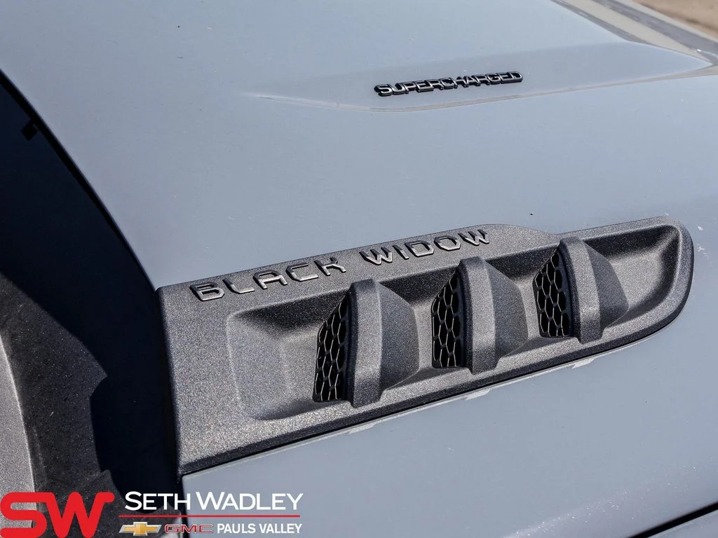 2025 Chevrolet Silverado 1500 RST - Photo 84