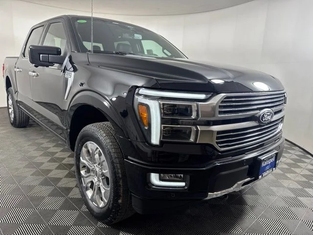 New 2026 Agate Black Metallic Ford Platinum image 1