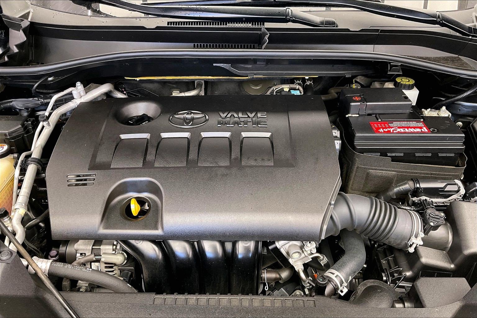 2019 Toyota C-HR XLE photo 3