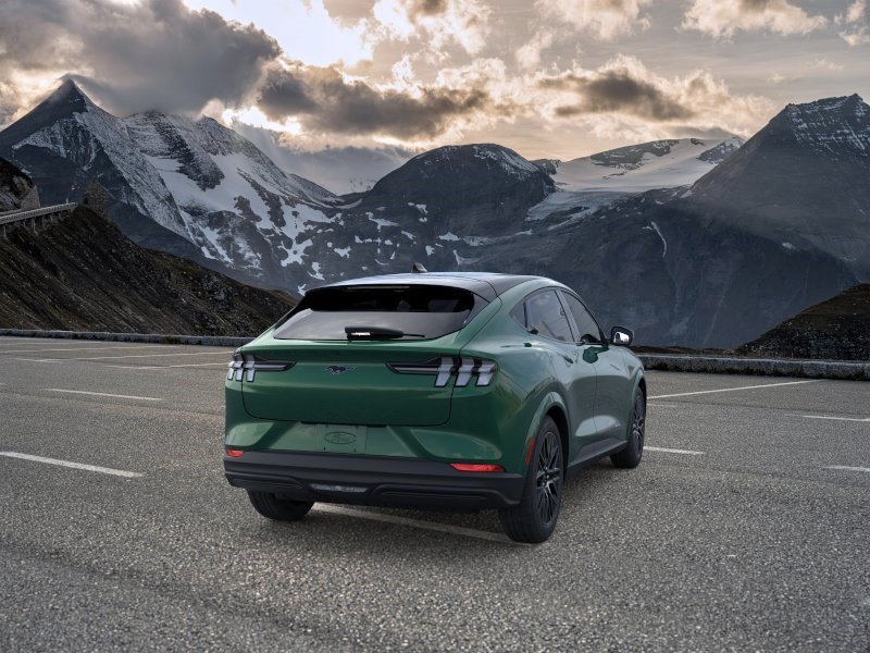 New 2026 Eruption Green Metallic Ford Premium image 8