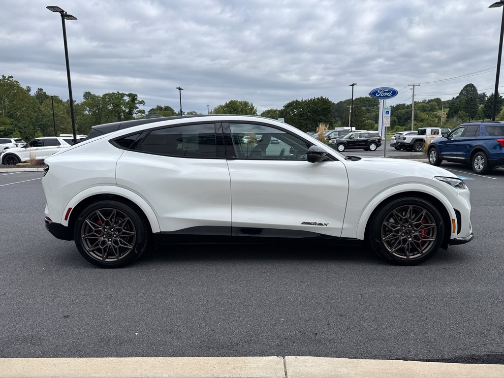 2025 Ford Mustang Mach-E GT - Photo 10