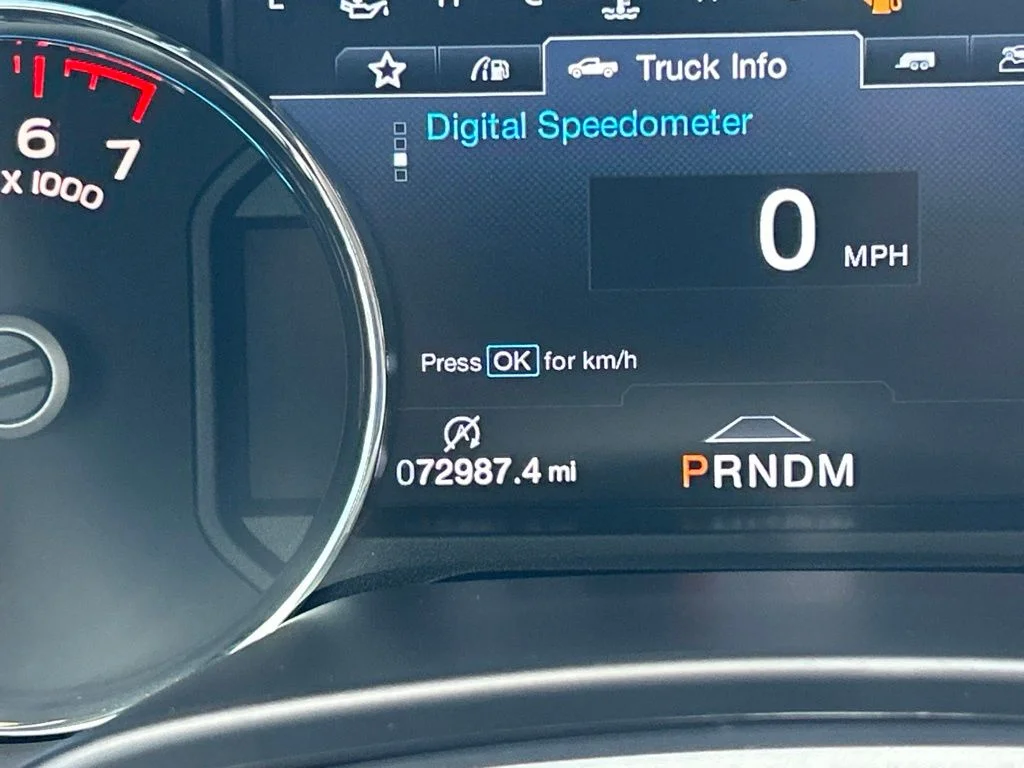 Used 2019 Black Metallic Ford Platinum image 25