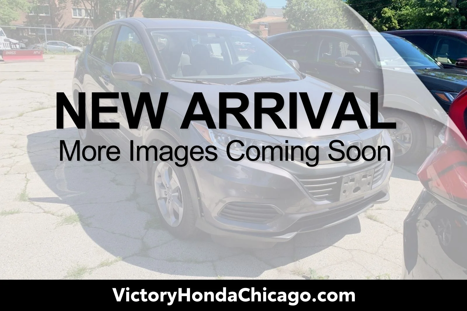 Certified Used 2019 Gray Honda LX image 1