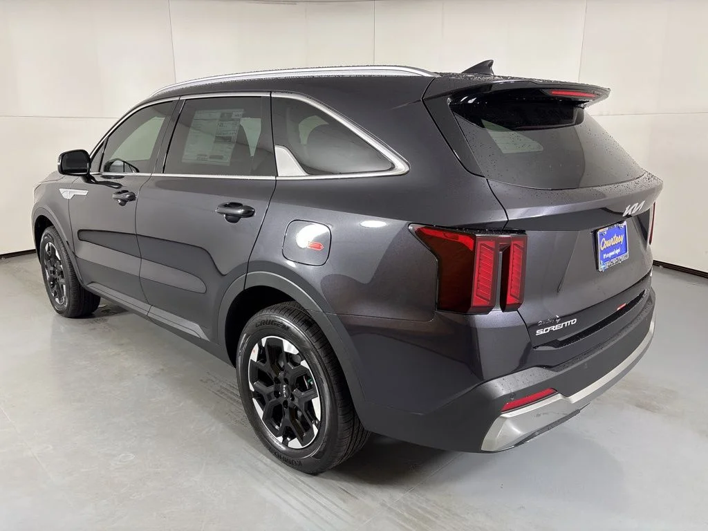 New 2026 Panthera Metal Kia S image 6