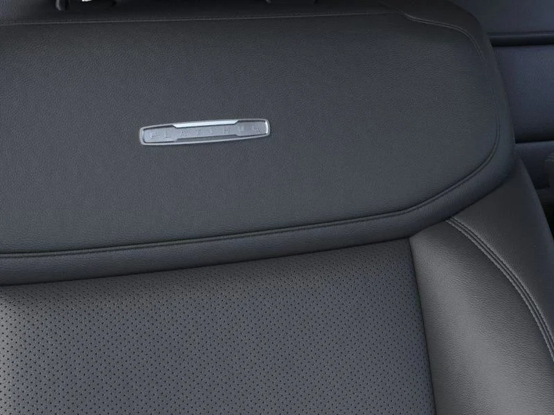 New 2026 Gray Ford Platinum image 16