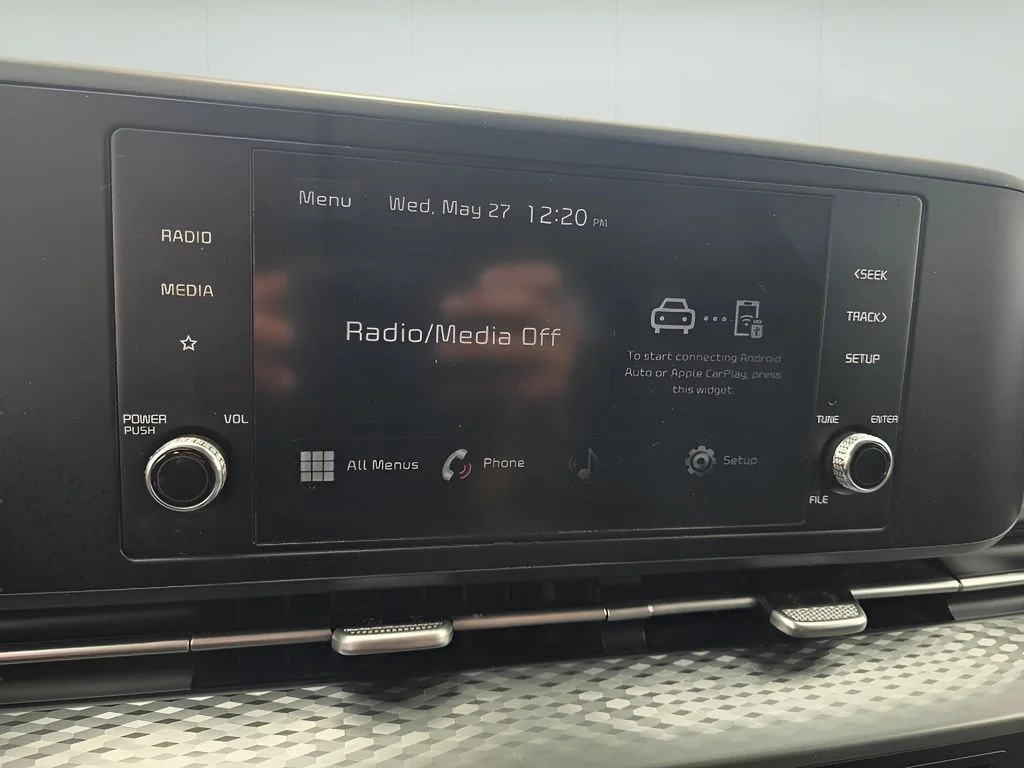 Used 2022 Pantera Metal Kia LX image 11