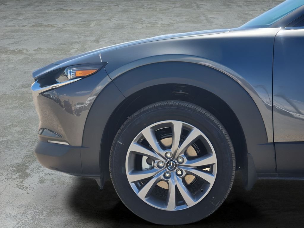 2025 Mazda CX-30 Premium - Photo 9