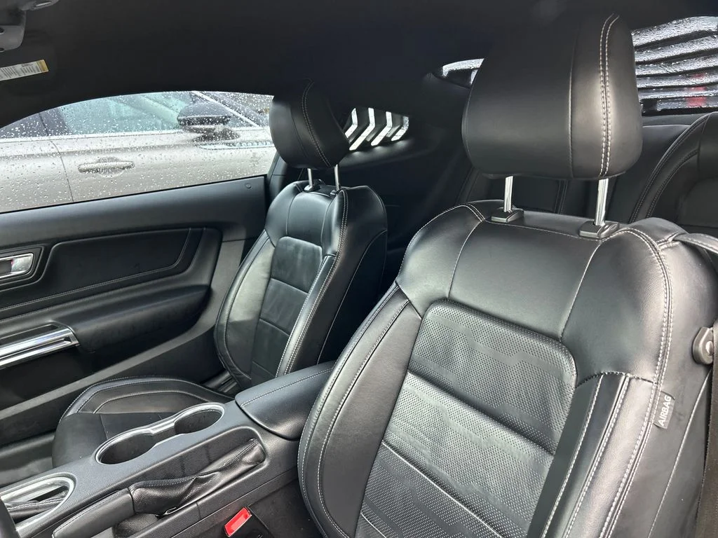 Used 2019 White Ford EcoBoost Premium image 9