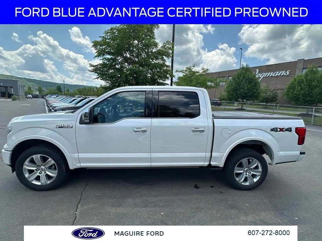 Used 2019 White Ford Platinum image 9